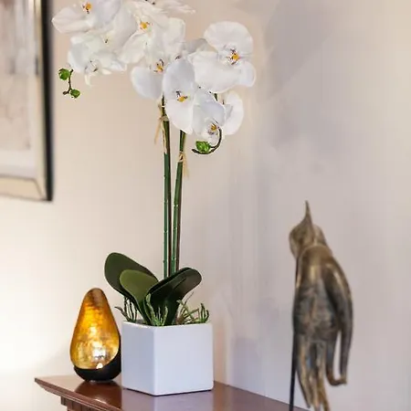 Skipbridge Farm * Green Hammerton